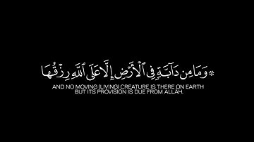 وما من دابة في الأرض إلا على الله رزقها . بدر التركي شاشة سوداء كرومات قران كريم.