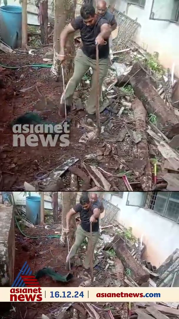 ഗുരുവായൂർ നഗരസഭ ടൗൺ ഹാളിൽ നിന്ന് മൂർഖൻ പാമ്പിനെ പിടികൂടി