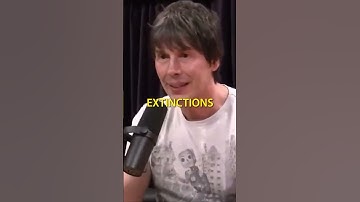 Binary Star System Speculations about our solar system