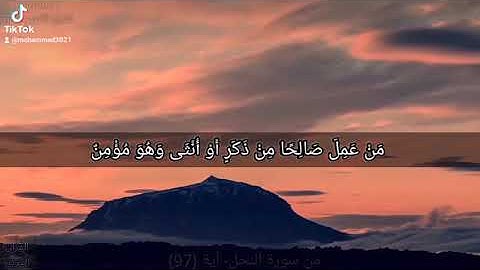 تلاوة خاشعه من سوره النحل 🎧💚/حالات واتس اب قصيره