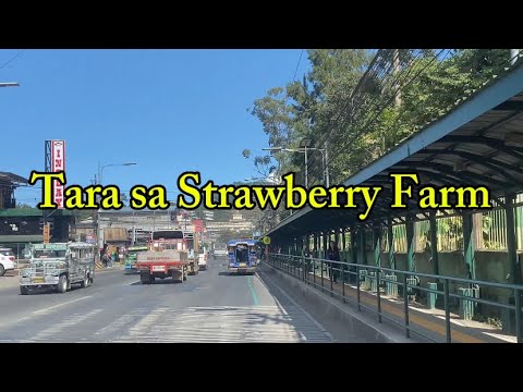 Tara Pasyal ko kayo dito sa Strawberry Farm
