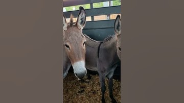 revised truck repair video