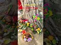 Vat Savitri Puja 🙏 | #shorts #viral #trending