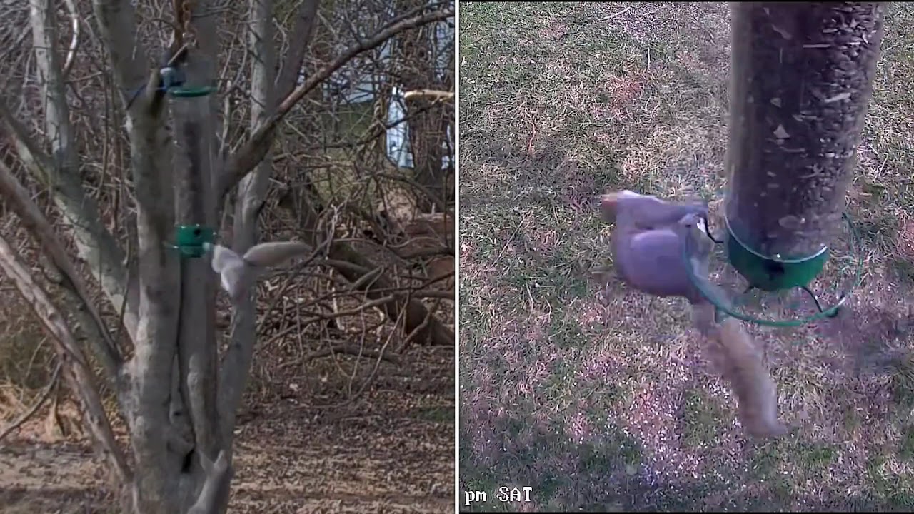 Droll Yankee’s Yankee Flipper squirrel rotator - first customer