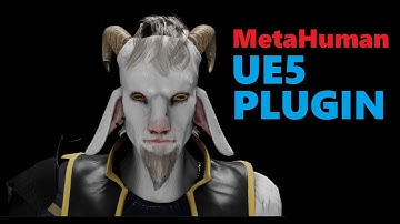 Mesh to MetaHuman Creator via UE5 - Amazing Precision Experiments