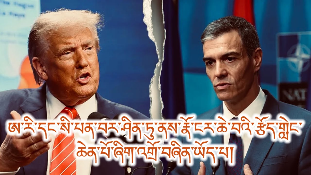 ཊམ་གྱི་ཉེན་བརྡ། སི་པན་གྱི་ཡ་ལན་ངན་པ། དམག་མིའི་མ་སྒར་གཡར་མེད་པ། འཁོན་འཛིན། ཁྲིམས་ལ་བརྩི་སྲུང་། ཧམ་པ། 