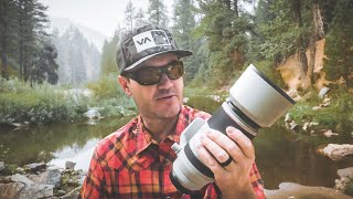 Canon RF 100500mm f/4.57.1 Lens Review | Initial Impressions Wildlife Photography