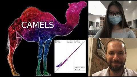 Machine learning unveiling cosmology | subhalo masses and the virial theorem (Shao & Villaescusa)