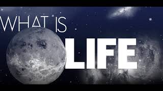 Sash! - What Is Life