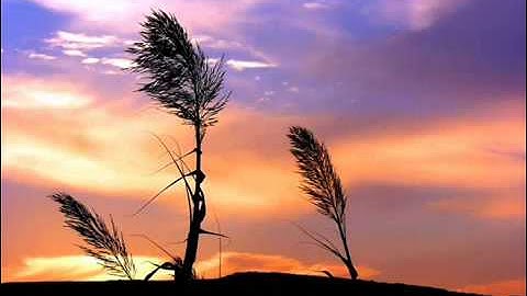 الشيخ فارس عباد - سورة الفجر.