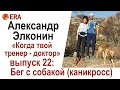 Бег с собакой (каникросс). Выпуск 22 «Когда твой тренер - доктор»
