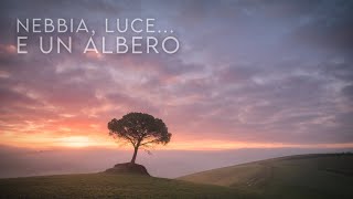 Nebbia, luce e...un ALBERO! Magnifiche condizioni per fotografare l'alba nelle Crete Senesi | Vlog