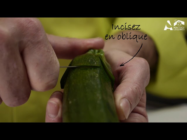 Créer une tulipe avec une courgette