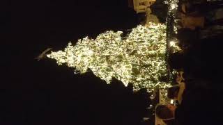 プラハ　クリスマスツリー　20161225