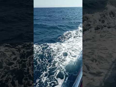 Экскурсия на яхте по Красному морю. Египет. Июль 2023. ч.3