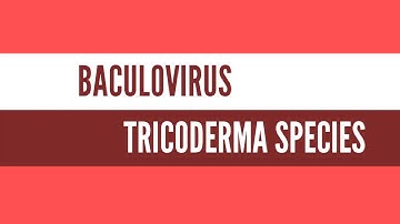 BACULOVIRUS & TRICODERMA SPECIES!! BIOLOGICAL CONTROL AGENTS!!