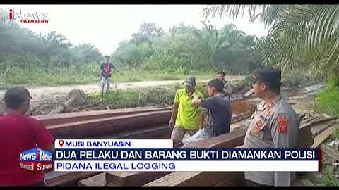 POLISI GEREBEK ILEGAL LOGGING HUTAN KAWASAN