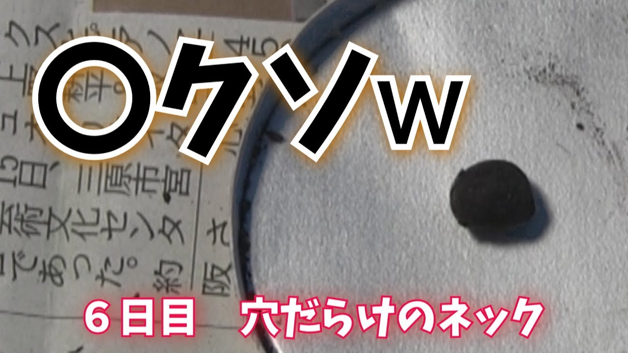 穴だらけのネックをコクソしてやる！ フェルナンデス ジャンクギター