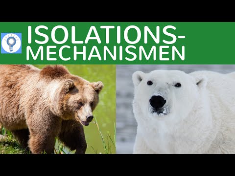 Kriterien der Artabgrenzung - Isolationsmechanismen & Beispiele | Evolution 11