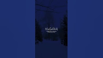 القارئ ياسر الدوسري #سورة_القصص