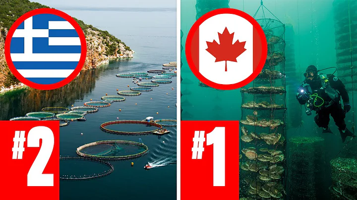 LARGEST Fish Farms In The World Nobody Knew About! - DayDayNews