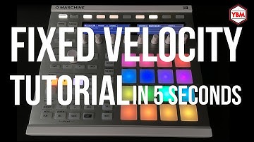 Fixed Velocity on Maschine (Tutorial)