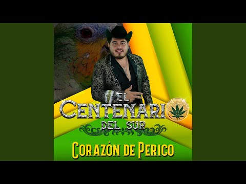 Corazon de perico