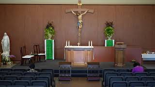 STM Livestream (Spanish): 1:00PM Sunday Mass