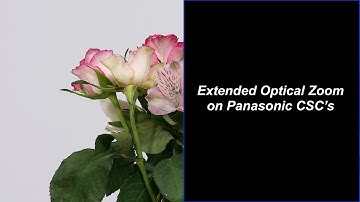 Using the EX Zoom and TELE CONV modes on Panasonic CSC