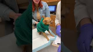 From Calm To Chaos In Seconds