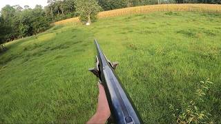 Browning BPS Buckshot Pattern Testing! (Factory Full choke)