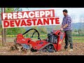 ELIMINO tutte le CEPPAIE velocemente dal TERRENO