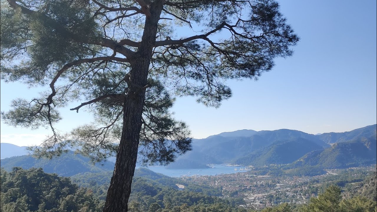 İLK SÜRÜŞ KISA VİDEO 