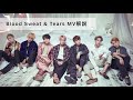 【BTS 考察】【WINGS 解説】ジミンとグクを誘惑していたのはあの人だった | 血汗涙 | 피땀눈물