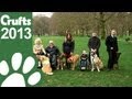 Friends For Life Launch Crufts 2013
