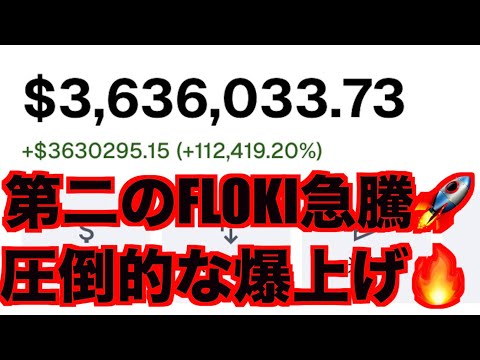 第二のFLOKI急騰的中しました‼️注目Rコイン.Sコイン爆上げ狙う🔥🚀🌕