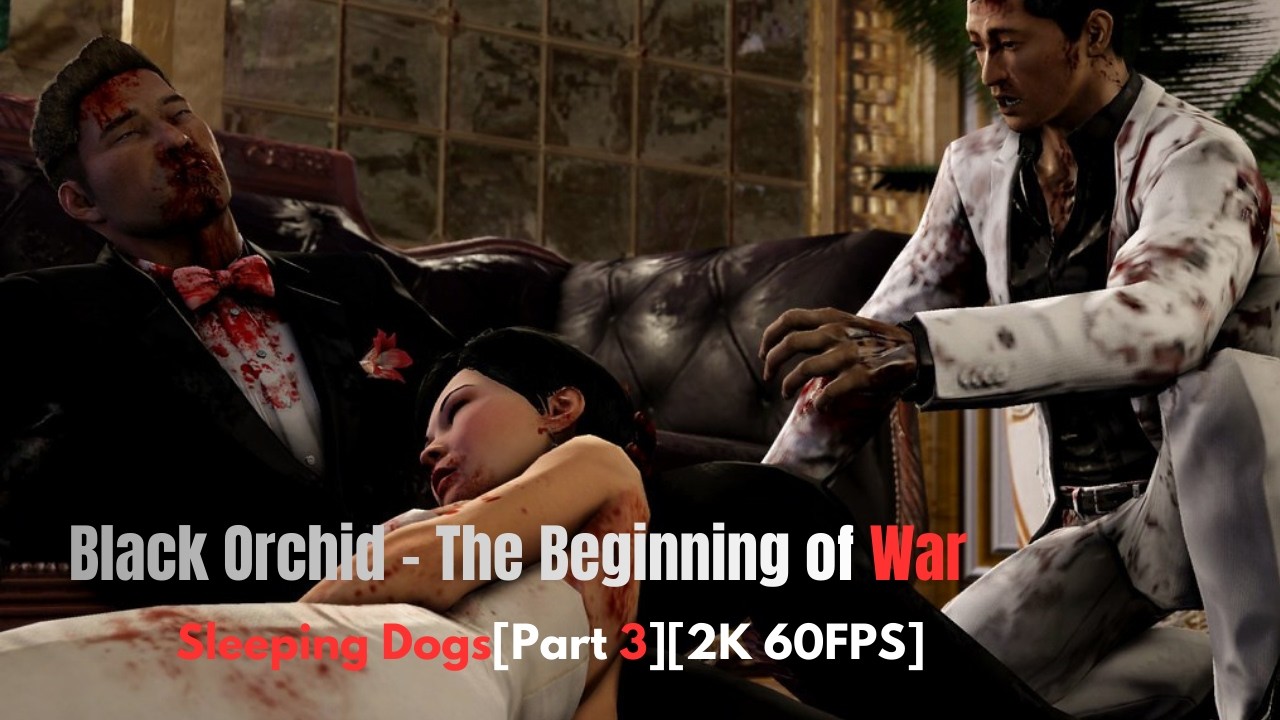 Black Orchid - The Beginning of War - Sleeping Dogs(Part 3) [2K 60FPS] No Commentary