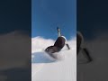 Snowboard Pro 滑雪板高手｜スノーボード達人｜ #sports