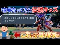 【ポケモンsv】小学生の伝説キッズを進化前ポケモンだけでボコボコにしてみたｗｗｗ