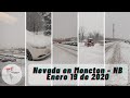 Nevada en Moncton - NB / Enero 19 de 2020 | Colombianos en Moncton 🇨🇦