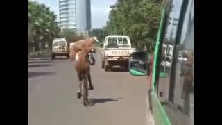 13 Сентября 2016 Г.