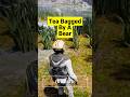 Tea Bagged By A Bear Muthadigital