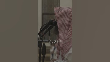 #تلاوات #تلاوة_خاشعة #القرآن_الكريم #محمد_اللحيدان