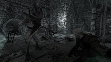 [W3EE v4 Beta] Velen - Sarasti the Ekimmara