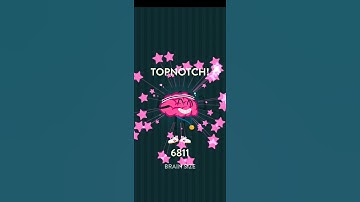 Wordbrain Elephant Level 17 Answers | WORDBRAIN ELEPHANT ANSWERS