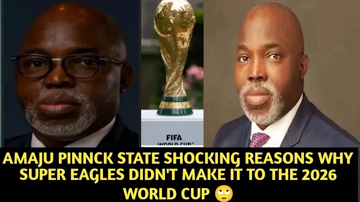 FORMER NFF PRESIDENT AMAJU PINNCK REASONS SUPER EAGLES DIDN'T EIT TO NEXT YEAR WORLD CUP 🙄