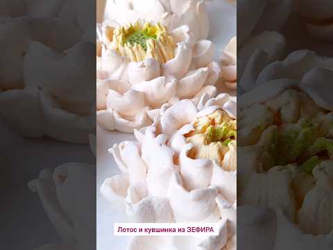 🌸ЗЕФИРные цветы (лотос