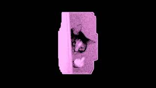 TouchDesigner | Particle Image Reveal