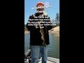 December Bass Fishing Tips #12