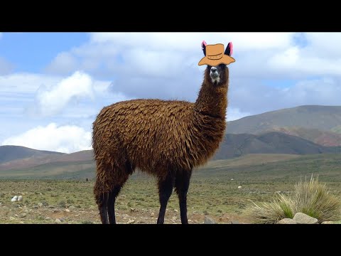 llama 焚き火台　TYPE4 pajaro de llama IMG_3191.jpg?v=1694240174&